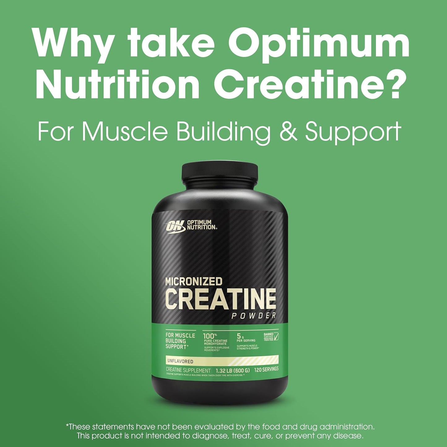 Optimum Nutrition Creatine Powder Unflavored 120 servings