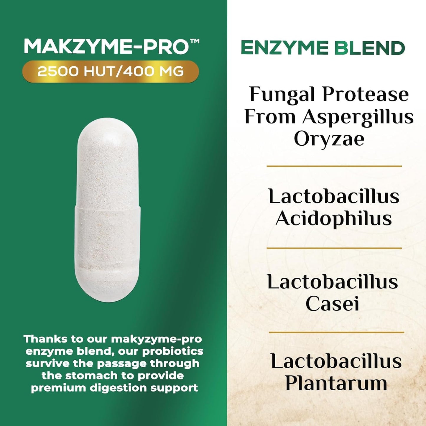 Nature's Nutrition Digestive Enzymes with Probiotics 60 Capsules