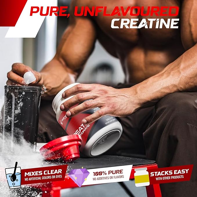 Wellness Labs Creatine Monohydrate Powder - 100 Servings